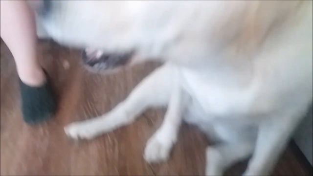 Атака клещей смотреть онлайн