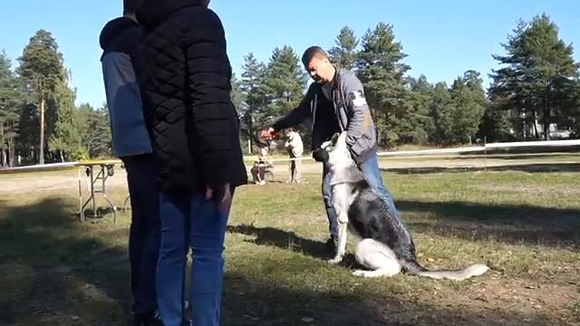 Веолар Хонда (Веолар Дарина-Марс) смотреть онлайн