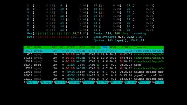 Server Web CentOS 7, Mysql, PHP 7.4, Nginx, Apache 2.4, Reverse Proxy смотреть онлайн