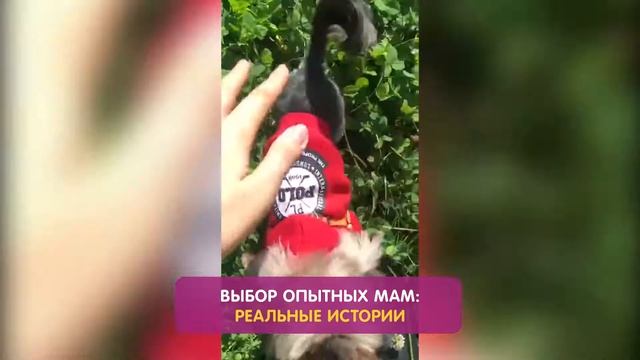 Веселые игры малыша с другом смотреть онлайн