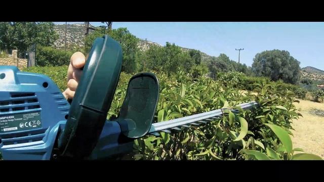 CORDLESS HEDGETRIMMER 20V | BORMANN PRO (BBP4100) смотреть онлайн