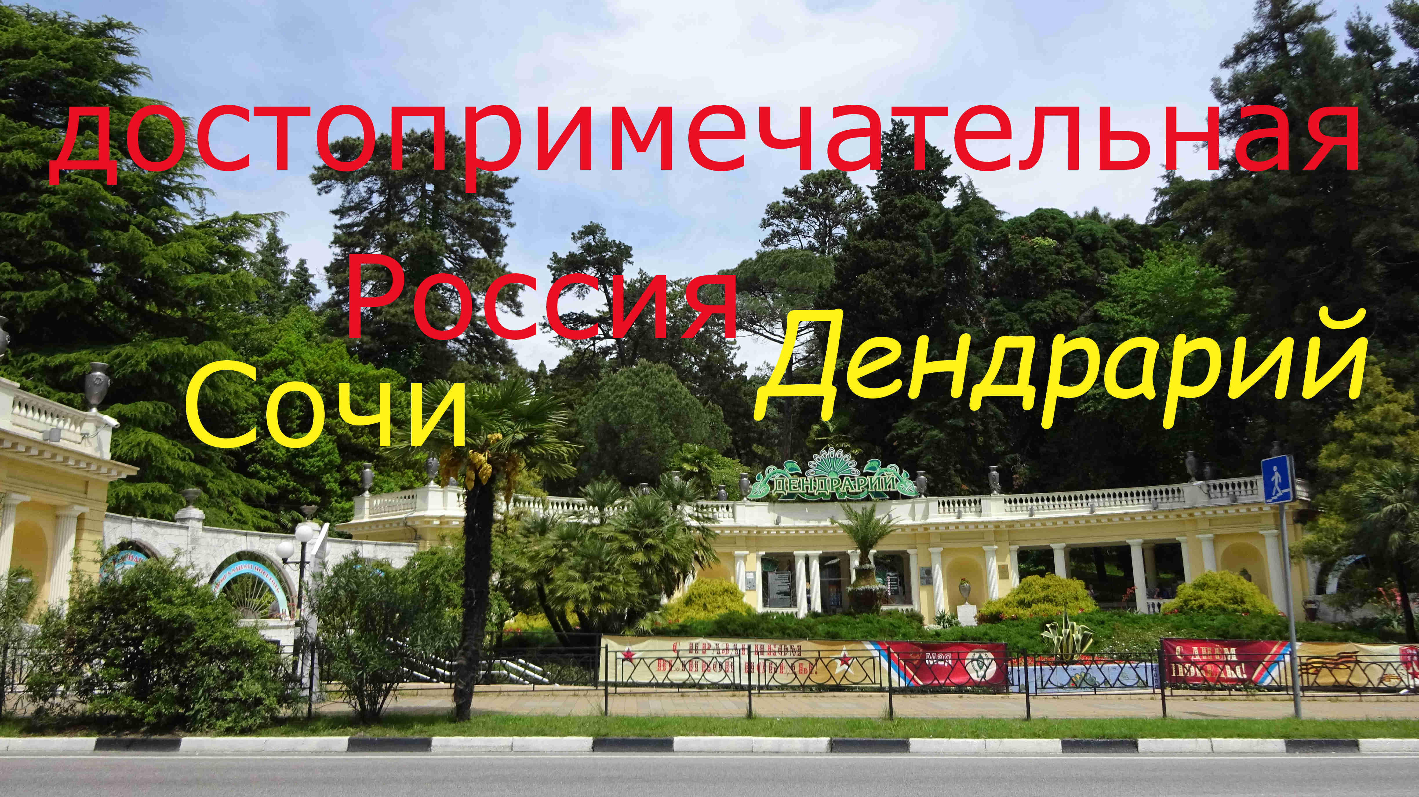 Сочи Дендрарий смотреть онлайн