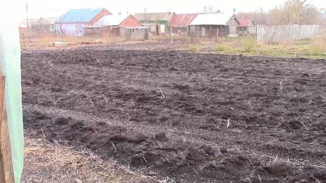 Работа в деревне. Подкормка огурцов, подготовка теплицы к посадке смотреть онлайн