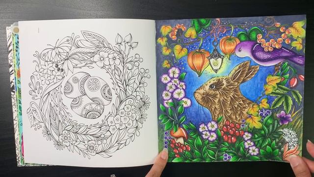 COMPLETED COLOURING PAGES 2024| RITA BERMAN BOOKS | ADULT COLOURING