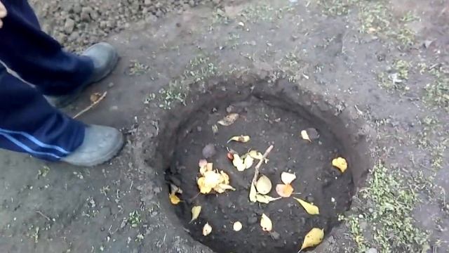 Укрытие однолетних саженцев винограда на зиму! смотреть онлайн