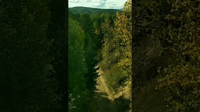 #поэзиядлядуши "А жизнь моя петляет... вправо... влево..." ( Надежда Ласточкина). смотреть онлайн