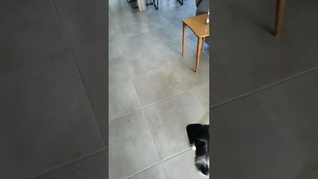 its reversed смотреть онлайн