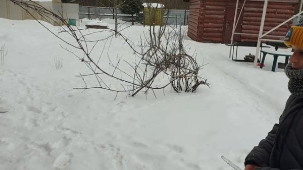 КАК ЖИВУТ МНОГОДЕТНЫЕ СЕМЬИ В ДЕРЕВНЕ? ШЕСТЬ ДЕТЕЙ