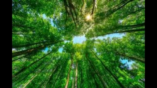 Intro colas bim 1 heure смотреть онлайн