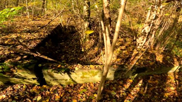 Eksploracja starego młyna u Walerów i ruin mostu w Siemoni. 4.11.2023 #urbex #eksploracja #explore смотреть онлайн
