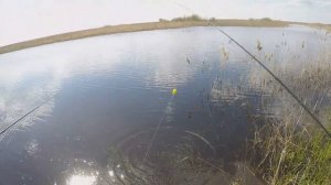 КАРП И КАРАСЬ  НА ПОПЛА - ПОППЕР С УЛЬТРОЛАЙТОМ!