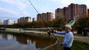 Тестирование бюджетных карповых удилищ