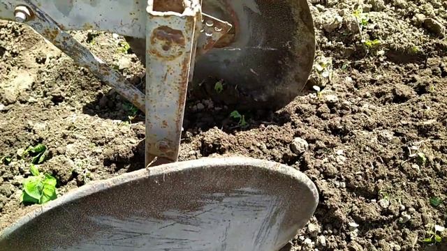 Дисковий підгортач картоплі ручний. З чого зробити дисковий підгортач картоплі своїми руками смотреть онлайн