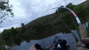 Ловля сома, с берега на донку. Сом 13кг, на выползка! Catfish.