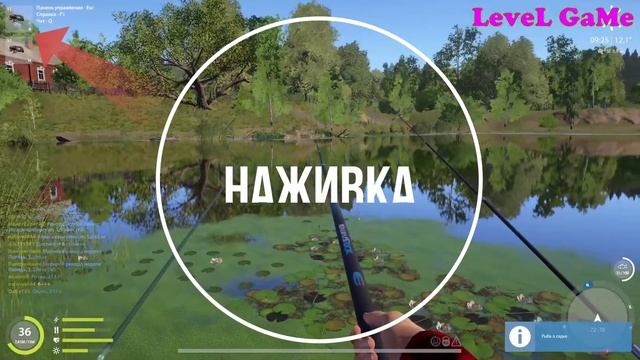 Рр4 | Трофейная лягушка | оз. Комариное | идем на "ква" смотреть онлайн