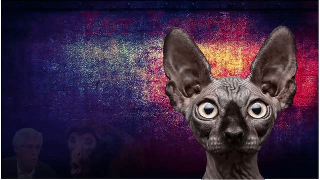 Шарий, поёт "моска*ей на ножи" смотреть онлайн