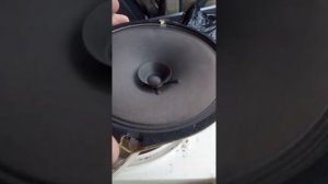Иволга РА-15 динамик в разнос, усилитель и отвёртка в помощь