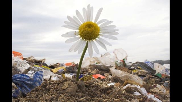 Сознание определяет ваше личное бытие смотреть онлайн