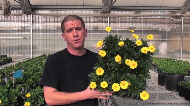 Genesis™ Voltage Pot Production смотреть онлайн