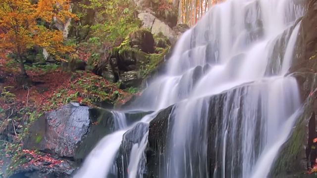 Peaceful Relaxing Instrumental Music, Meditation Calm Music 