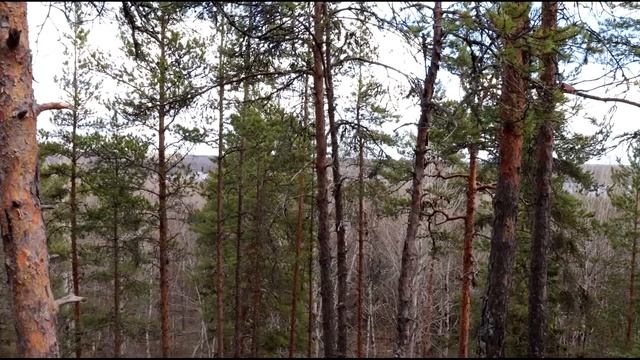 Гора Сампо Карелия смотреть онлайн