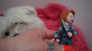 КУКЛА ЧАКИ В РЕАЛЬНОЙ ЖИЗНИ | 24 ЧАСА В ВАННОЙ С КОТАМИ ПЕРЕД ХЕЛЛОУИНОМ