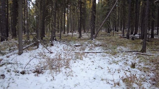Октябрь 2021.Тыва смотреть онлайн