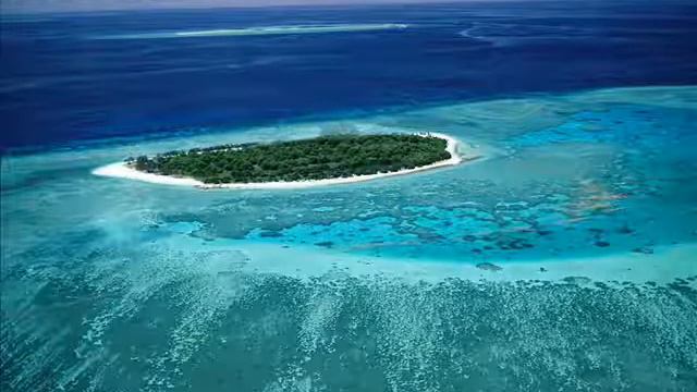 Струны Д Дункан Глава 2 смотреть онлайн