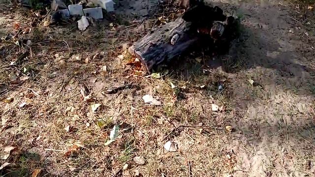 Конец сентября у воды смотреть онлайн