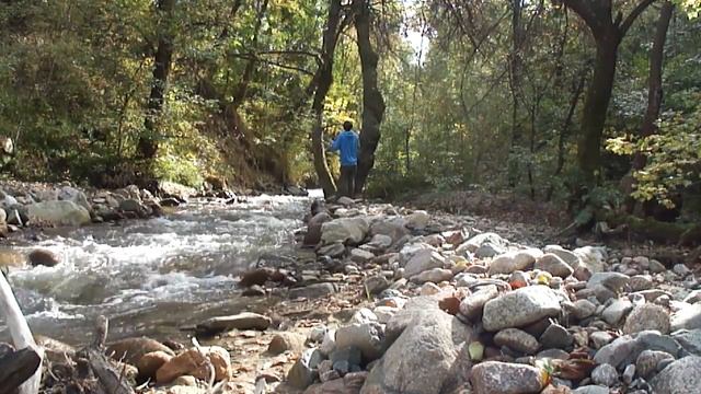 ФИЛософия на природе – Мейнстримфобия смотреть онлайн