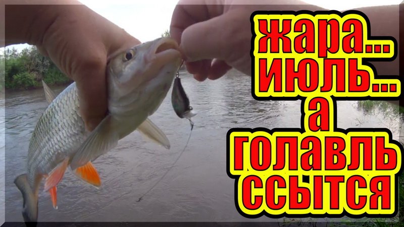 Ловля голавля на спиннинг в июле. Рыбалка на малой реке. смотреть онлайн