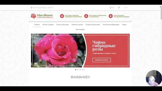 Где заказываю розы. Лучшие! Проверенные! Надежные питомники! смотреть онлайн