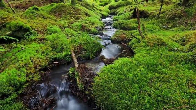 Вода снято на фотоаппарат. смотреть онлайн