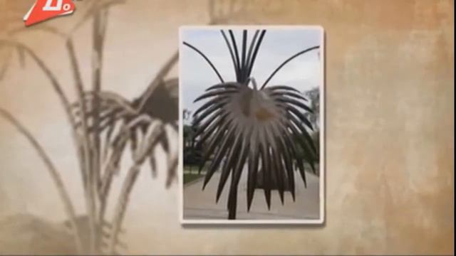 Символ Донбасу - пальма Мерцалова смотреть онлайн