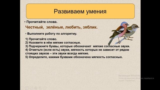 Русский язык Обозначение мягкости согласного звука смотреть онлайн
