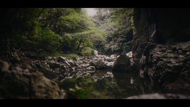 THE FOREST｜Cinematic Video [ a7IV ] смотреть онлайн