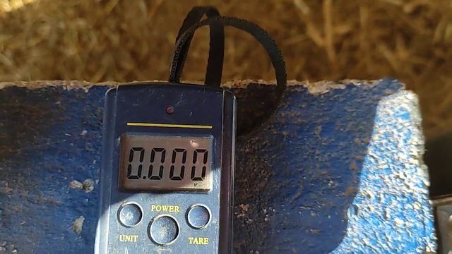 Может ли самка нутрии зажиреть? смотреть онлайн