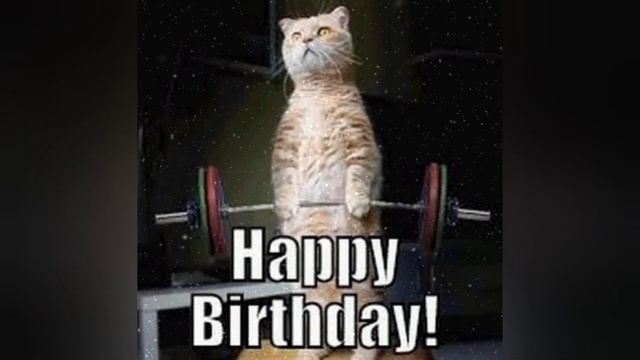 BIRTHDAY RAIN DJ SASS MIX смотреть онлайн