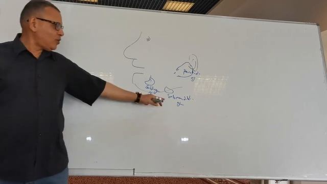 3 Functions of GIT & formation of saliva смотреть онлайн