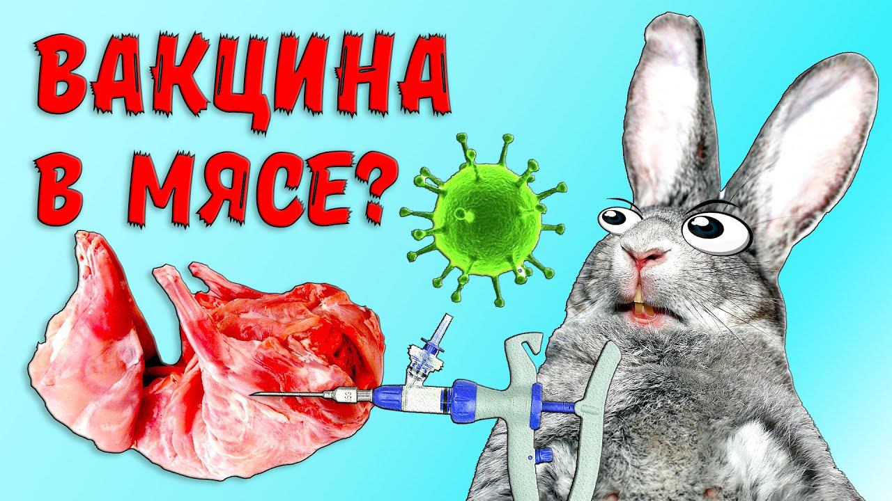 Вакцина в мясе? смотреть онлайн