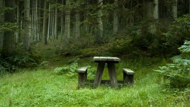 Ошо - Седьмая чакра! смотреть онлайн