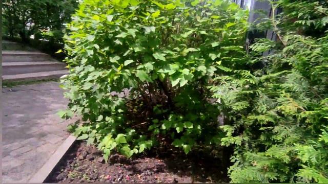 ПОЕЗДКА В ЗООПАРК РОЕВ РУЧЕЙ смотреть онлайн