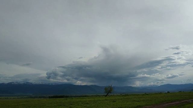 Горный Алтай. Уймонская долина 12.06.2019 г. смотреть онлайн
