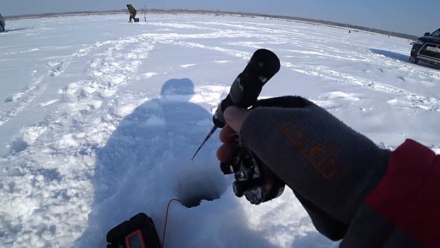 Давно ТАК не ПОПАДАЛ! Мощные удары, РЫБЫ ПОЛНО! ОБЛОВИЛ НОВУЮ ПРИМАНКУ! смотреть онлайн