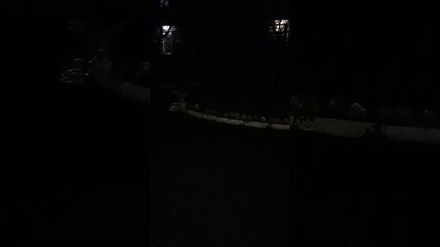 Авторское стихотворение Елены Аланиной " От Гадкого Утенка - к стае Белых Лебедей". Геленджик. смотреть онлайн