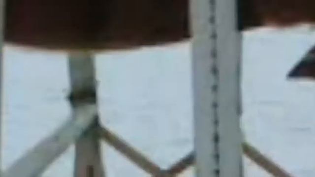 тренировка 20 марта смотреть онлайн