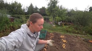 ОНИ БОЛЬШЕ НЕ МЕШАЮТ НИКОМУ. Завершил ремонт внутри комнаты. Жизнь, как есть.