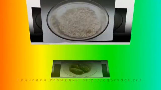 Рассольник с перловкой смотреть онлайн