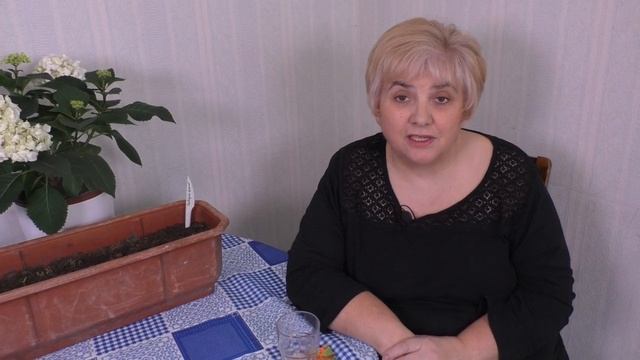 КАК Я ПОДГОТАВЛИВАЮ СЕМЕНА ТОМАТОВ К ПОСЕВУ. Садим-сеем. Мой опыт. смотреть онлайн