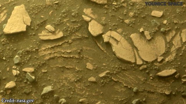 Mars Rover Found New Mysterious Area on Mars||Mars Perseverance Rover|| смотреть онлайн